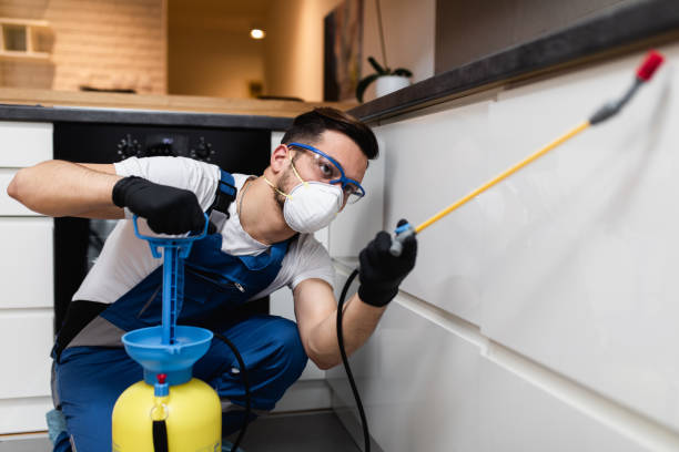 Flea Control Services in Creighton, NE