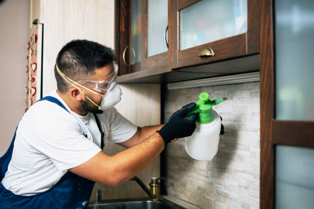 Best Best Pest Control Companies  in Creighton, NE