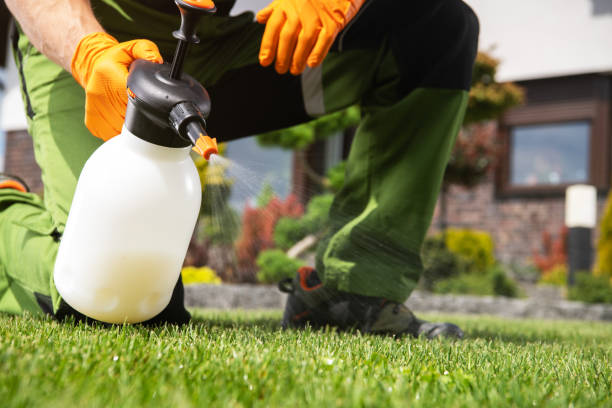 Best Wildlife Control Services  in Creighton, NE