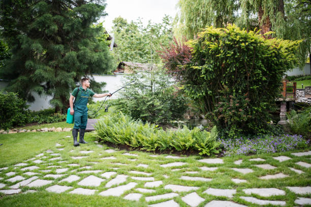 Reliable Creighton, NE Pest Control Solutions