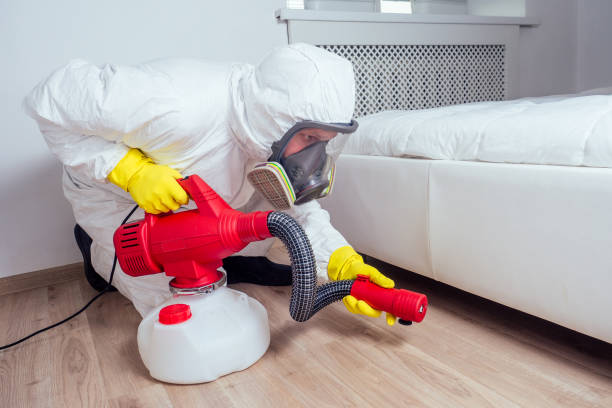 Best Mosquito Control Services  in Creighton, NE