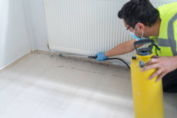 Best Pest Prevention Services  in Creighton, NE