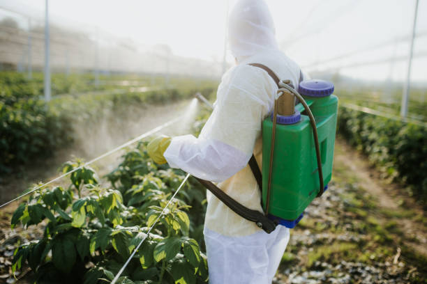 Best Best Pest Control Companies  in Creighton, NE